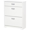 Homcom Shoe Cabinet For Entryway, Narrow Shoe Rack Storage Organizer With 3  Flip Drawers And Adjustable Shelves For 15 Pairs Of Shoes, White : Target