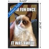 Trends International Grumpy Cat - Fun Framed Wall Poster Prints - 3 of 4
