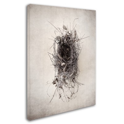 Trademark Fine Art -Debra Van Swearingen 'Nest II' Canvas Art