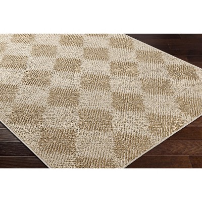 Hauteloom Collen Living Room, Bedroom Patio Outdoor Area Rug - Traditional, Transitional