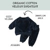 Honest Baby Velour Sweatsuit - 3 of 4