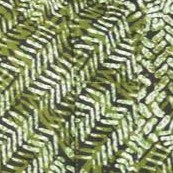 olive drab  animal