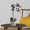 Forever Leaf Michigan State Faux Orchid, Indoor Artificial Plant for Home Decor - 3 of 4