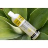 Plantlife Lemongrass Body Wash – GMO & Gluten-Free, Gentle & Moisturizing, Natural Ingredients, Made in the USA, 14 oz - 4 of 4