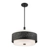 Livex Lighting Noria 4 - Light Chandelier in  Black - 4 of 4