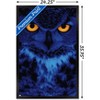 Trends International Owl - Eyes Framed Wall Poster Prints - 3 of 4