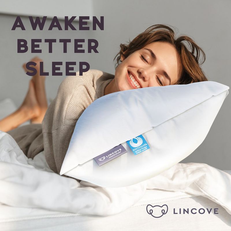 Lincove Cloud Canadian Down Luxury Sleeping  Pillow - 625 Fill Power, 500 Thread Count Cotton Sateen Shell, 2 Pack, 5 of 9