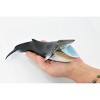Collectible Wildlife Gifts | Whale, Blue Whale, Marine Mammal, Rubber Animal, Realistic Toy Figure, Model, Hand Painted, Gift,   9"   CH313 BB130 - 2 of 4