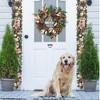Christmas Rattan Artificial Flower Vine Plants Indoor Outdoor Christmas Garland  Garden Gate Home Decorations, Christmas Garland - 3 of 4