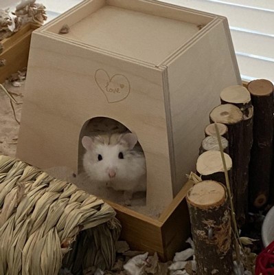 Guest review image 2 of 2, zoom in