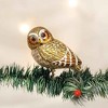 Old World Christmas 2.0 Inch Pygmy Owl Owc Ornament Clip On Bird Tree Ornaments - 2 of 3