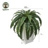 DR.Planzen Artificial Fern Plant in 15.7"/16'' Plastic Planter (3 Colors) - Faux Indoor/Outdoor Floor Plants Tall House Plant (Set of 2) - 2 of 4