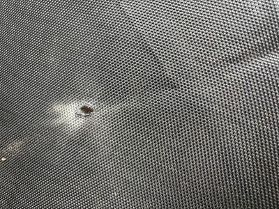 Guest review image 1 of 3, zoom in