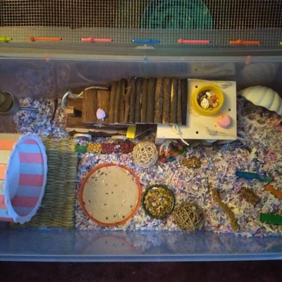 Guest review image 2 of 2, zoom in