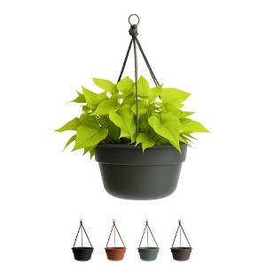 Bloem 12" Dura Cotta Round Resin Self-Watering Hanging Basket Planter with Macrame Cord - 1 of 4