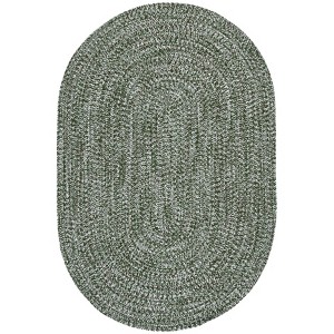 Braided BRA260  Machine Washable UV Resistant Stain Resistant Non-Shedding Hand Woven Indoor/Outdoor Rugs - Safavieh - 1 of 3