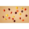 Reese's Pieces Peanut Butter Filled Plastic Cane Christmas Candy - 1.4oz - 4 of 4