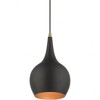 Livex Lighting Andes 1 - Light Pendant in  Black/Antique Brass - 2 of 3