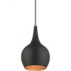 Livex Lighting Andes 1 - Light Pendant in  Black/Antique Brass - image 2 of 3