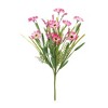Melrose Mixed Daisy Bush (Set of 6) - 3 of 3