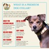 Country Brook Petz Premium Dog Collar - Tasty Collection - 2 of 4