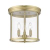 Z-Lite Thayer 3 - Light Flush Mount in  Luxe Gold - 4 of 4