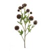 Faux Brown Allium Spray Set of 6 26 inch Height Plastic and Polyester Stems for Displays By Melrose - 2 of 3