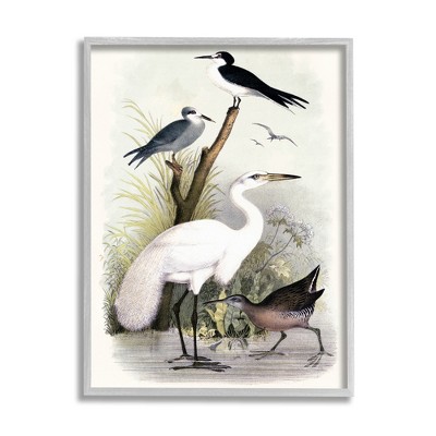 Stupell Industries Varied Crane Birds Gathered Riverbank Stream Botanicals Framed Giclee Art