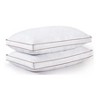 Dr. Pillow Goose Feather Pillow - 3 of 4