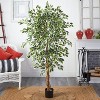 HomeStock  6 ft. Artificial Ficus Tree in Pot for Indoor/Outdoor - 4 of 4