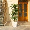 5-6ft UV & Sunproof Artificial Dracaena Tree for Indoor/Outdoor - Faux Silk Plant in Tall Planter, Tall Faux Tree for Home & Garden Decor - 2 of 4