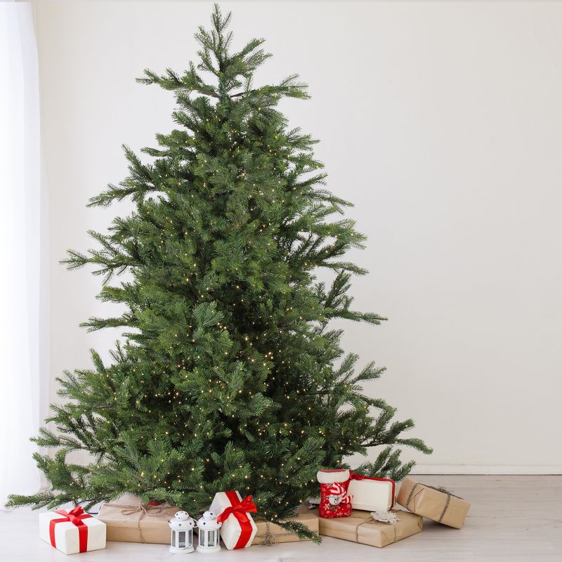 Northlight Real Touch™️ Pre-Lit Full Oregon Noble Fir Artificial Christmas Tree - 9' - Warm White LED Lights, 1 of 11