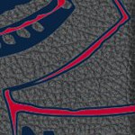 minnesota twins