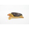 Collectible Wildlife Gifts | Turtle, Loggerhead Sea Turtle, (Caretta caretta) Rubber Reptile, Realistic Toy Figure, Model, Gift,   2 1/2"  CH408 BB108 - 4 of 4