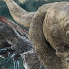Jurassic World Jurassic World: Dominion Dino Predator Group Blanket 50"x60" Woven Tapestry - 4 of 4