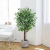 Acekool Artificial Ficus Tree 4/5/6 FT Tall with Natural Wood Trunks, Adjustable Branches, and Stable Pot for Indoor & Outdoor Decor - 2 of 4