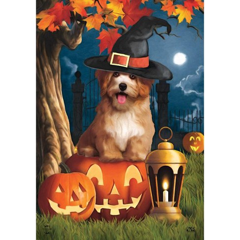 Halloween Dog Garden Flag Jack O'lantern Witch Hat 18