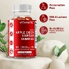 Apple Cider Vinegar 1000mg 60 Vegan Gummies - 4 of 4