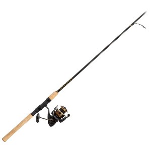Daiwa BG Saltwater Spinning Fishing Rod and Reel Combo - 1 of 1