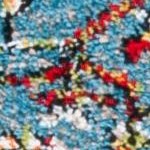 blue/red