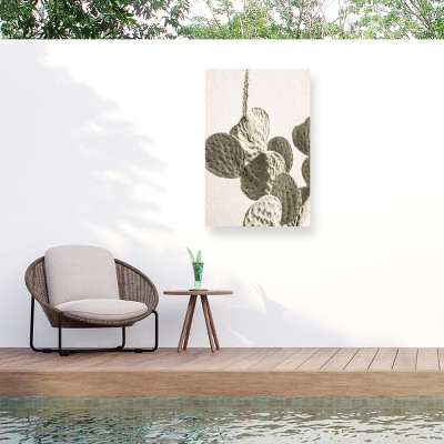 Trademark Fine Art - Shot by Clint Mexi Catus 02 Matted Framed Art