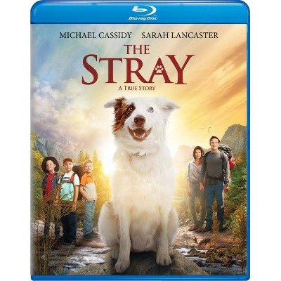 The Stray (Blu-ray)(2019)