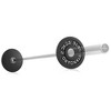 Philosophy Gym Set of 2 Cast Iron Olympic 2-inch Weight Plates - 4 of 4