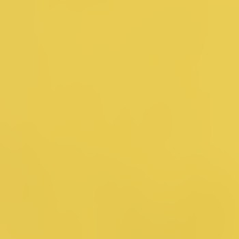 yellow-neodijon