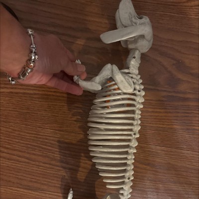 Guest review image 1 of 3, zoom in