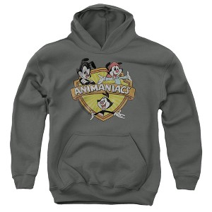 Boys’ Animaniacs Shielded Animaniacs Hooded Sweatshirt - 1 of 4