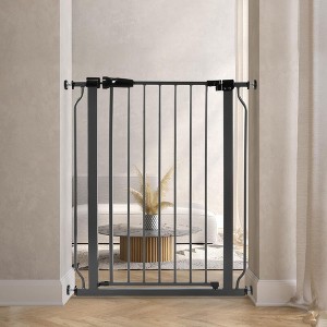 BalanceFrom Walk Thru Safety Gate for Baby and Pets, Doorways, Stairways, Hallways, Fits 29.1-33.8 Inch Openings, 36 Inch Height, Graphite - 1 of 4