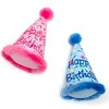 The Worthy Dog Birthday Hat Tough Dog Toy - 2 of 3