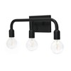 Robert Stevenson Lighting Benson 3-Light Vanity Light: Industrial Design, ETL Listed, Steel Body - 3 of 4