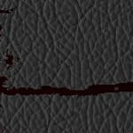 new england patriots